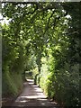Lane at Silverton Park Farm in EX5 4DD
