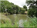 Pond at Weston (Suffolk) in NR34 8TE