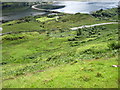 Hillside of Sgurr an Airgid in IV40 8HE