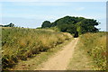 Sunshine Trail, Whiteley Bank, Isle of Wight in PO37 6QN