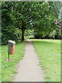 Path through Coed Melyn park, Newport in NP20 3NT