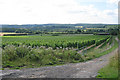 Vineyard off Pilgrims Lane in TN16 2DU