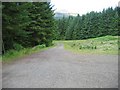 Forest road in Gleann Seilisdeir in PA69 6ET