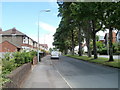 Tree-lined central reservation, Waun-gron Road, Cardiff in CF5 2LE