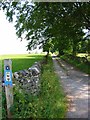 Bridleway near Alstonefield in Alstonefield