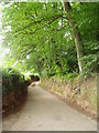 Country lane in LL16 4LW