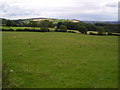 Pasture near Summerley in S18 4BU