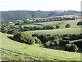 Countryside, below Berry Barton in EX6 7DP