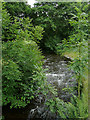 Afon Mwyro east of Strata Florida, Ceredigion in Ystrad Fflur Community