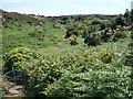 Path south eastwards through the valley leading to Llanbedrog in Llanbedrog Community