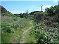 Valley bottom footpath in Llanbedrog Community