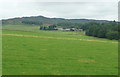 Pasture and Mains of Persie in PH10 7LQ