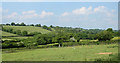 2010 : From Woodville Stile in BS39 5AJ