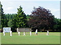 Village cricket, Farley in SP5 1AP