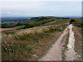 The South Downs Way east of Ditchling Beacon in BN6 8XE