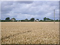 Farmland near Snainton Ings farm in YO13 9BD