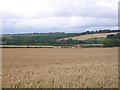 Farmland east of Allerston in YO18 7PG