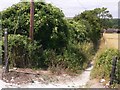 Bridleway junction near Gallops Farm in BN14 0RH