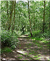 Park Wood, Chislehurst (2) in BR7 6LW