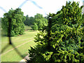 Parkland viewed from Ickworth Church tower in Ickworth