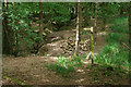 Signpost and log pile, Monks Copse in RH5 5QA