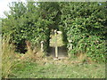 Footbridge on the path between East Lound and High Burnham in DN9 2LR