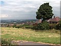 View from Manor Wood with backs of houses on Raynald Road in S2 1RT