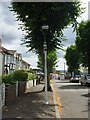 Streetlight in Fairkytes Avenue, Hornchurch in RM11 1JZ