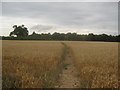 Footpath to Wittersham in TN30 7HN