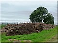 Muck heap in the corner of a field in NE19 1BY