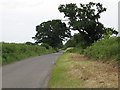 Road along boundary of the Old Park in SN10 5TB