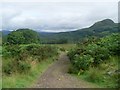 Dumgoyach, Dumgoyne and the West Highland Way in G63 9AW