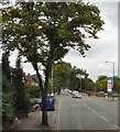 Birchfields Road in M19 2AL