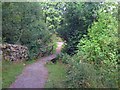 Footbridge on the path to Rockcliffe from Kippford in DG5 4QQ