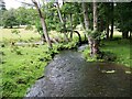 Stream near Bramshott in Bramshott and Liphook