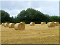 Harvested field, West Dean in SP5 1NU