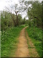 Path along the River Kennet in RG7 4PN