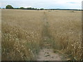Footpath to Chapel Bank Farm in TN30 7HY