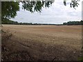 Harvested field near Newton Tony in SP4 0HW