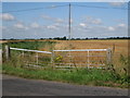 Gate and Crop Field off St Marys Road in TN28 8XQ