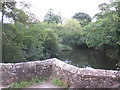 River Creedy, looking downstream, near Newton St Cyres in EX5 5AT