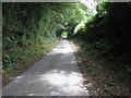Dewlands Hill descending to Coe's Farm in TN6 3RY