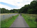 Taff Trail (NCN route 8) near Abercanaid in CF48 1YS
