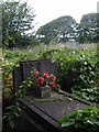 Overgrown Churchyard in DY3 3LG