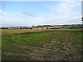 Farmland east of Langton in Langton