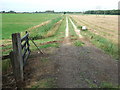 An open gate on the by-pass in PE30 3UW