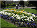 Spring in St Andrew's Gardens in WR1 2LH