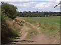 Track near Grateley Lodge in SP4 0DS