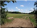 Field north of Grateley Lodge in SP4 0DS