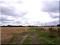 Bridleway and path cross near Abbotsfield Farm in WA9 4HZ